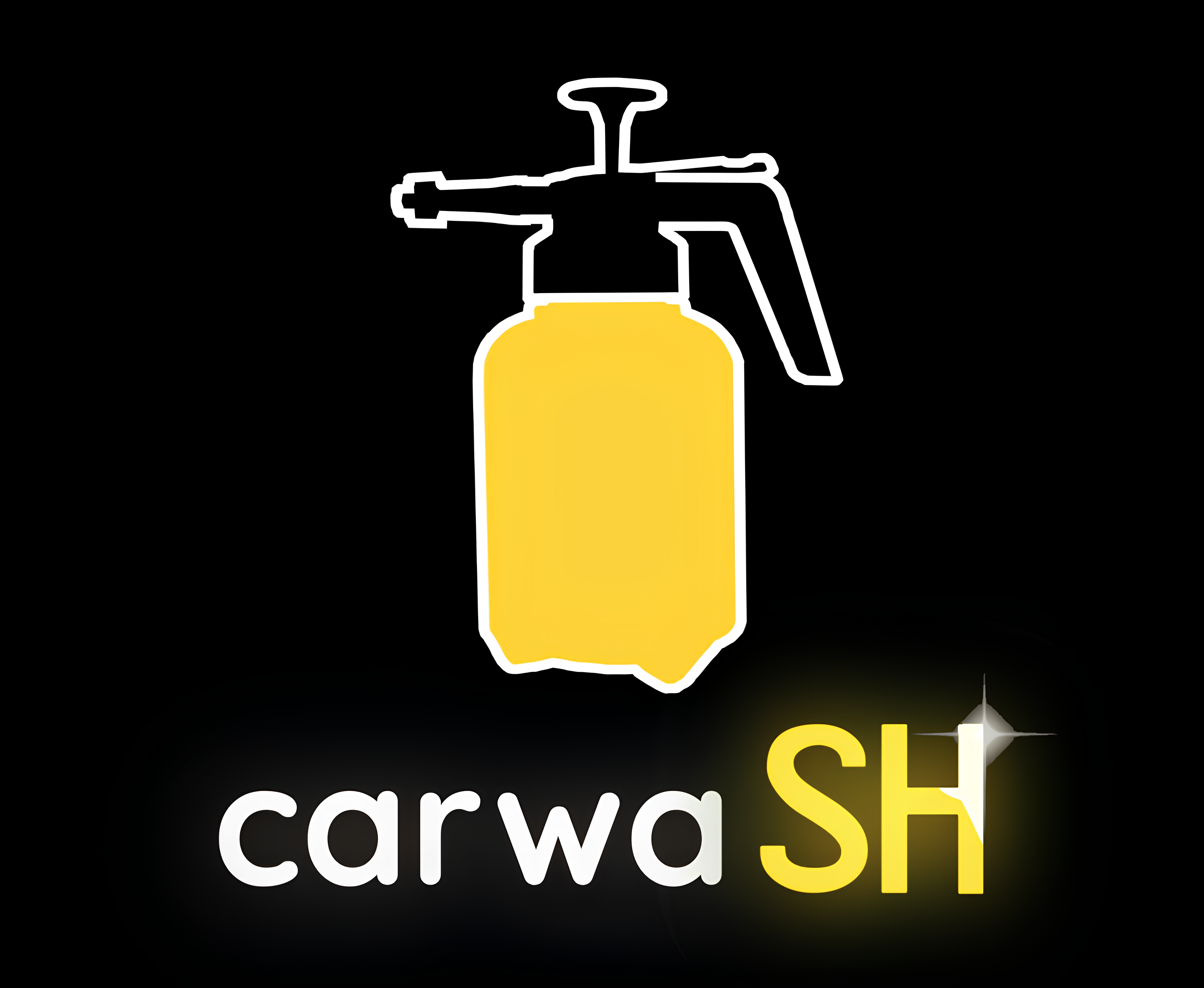 carwaSH Logo